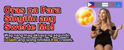Playtime Bingo Plus Gaming Interface